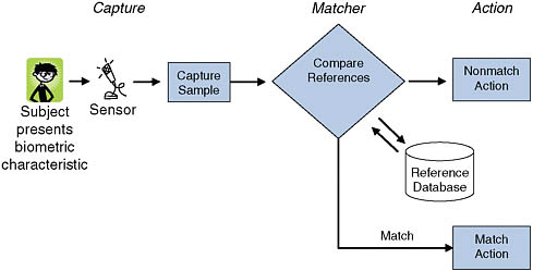 FIGURE S.1 Sample operation of a general biometric system. The two basic operations performed by a general biometric system are the capture and storage of enrollment (reference) biometric samples and the capture of new biometric samples and their comparison with corresponding reference samples (matching). This figure depicts the operation of a generic biometric system although some systems will differ in their particulars. The primary components for the purposes of this discussion are “capture,” where the sensor collects biometric data from the subject to be recognized; the “reference database,” where previously enrolled subjects’ biometric data are held; the “matcher,” which compares presented data to reference data in order to make a recognition decision; and “action,” where the system recognition decision is revealed and actions are undertaken based on that decision.